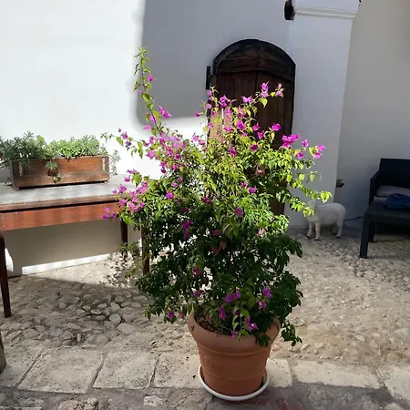 アパート Piazzetta Del Forno アッセルジ